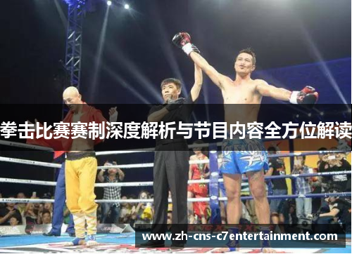 拳击比赛赛制深度解析与节目内容全方位解读