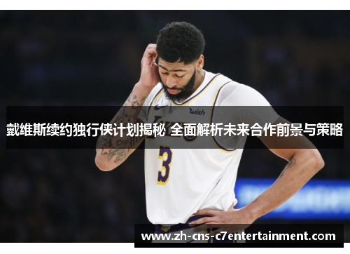 戴维斯续约独行侠计划揭秘 全面解析未来合作前景与策略