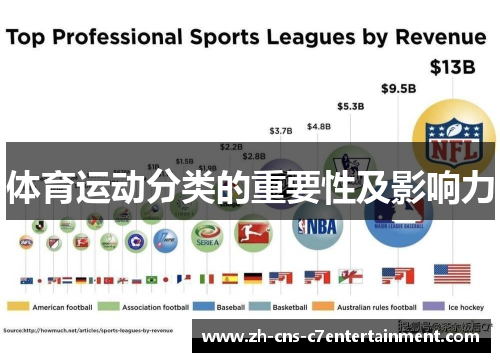 体育运动分类的重要性及影响力