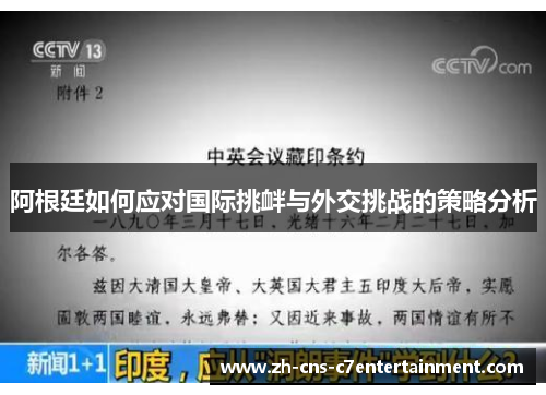 阿根廷如何应对国际挑衅与外交挑战的策略分析