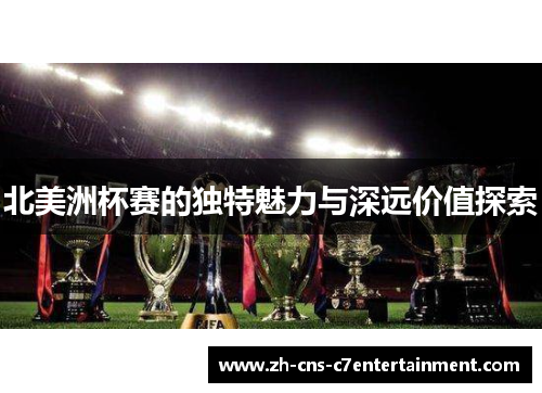 北美洲杯赛的独特魅力与深远价值探索
