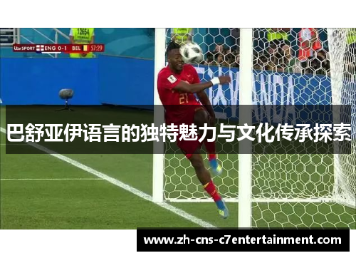 巴舒亚伊语言的独特魅力与文化传承探索