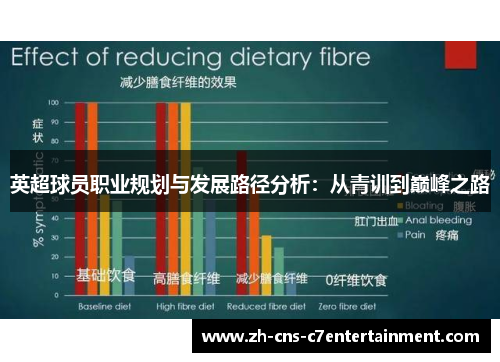 英超球员职业规划与发展路径分析：从青训到巅峰之路