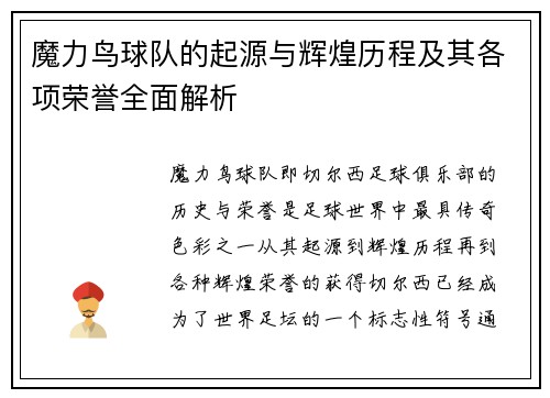 魔力鸟球队的起源与辉煌历程及其各项荣誉全面解析